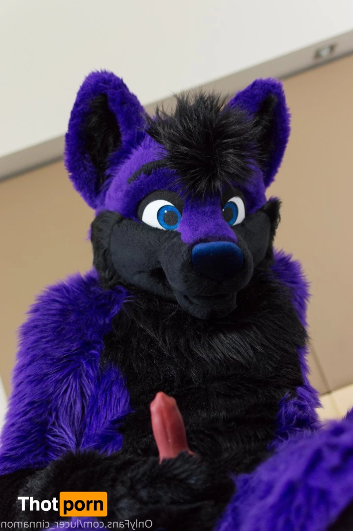 lucer_cinnamon 5386594