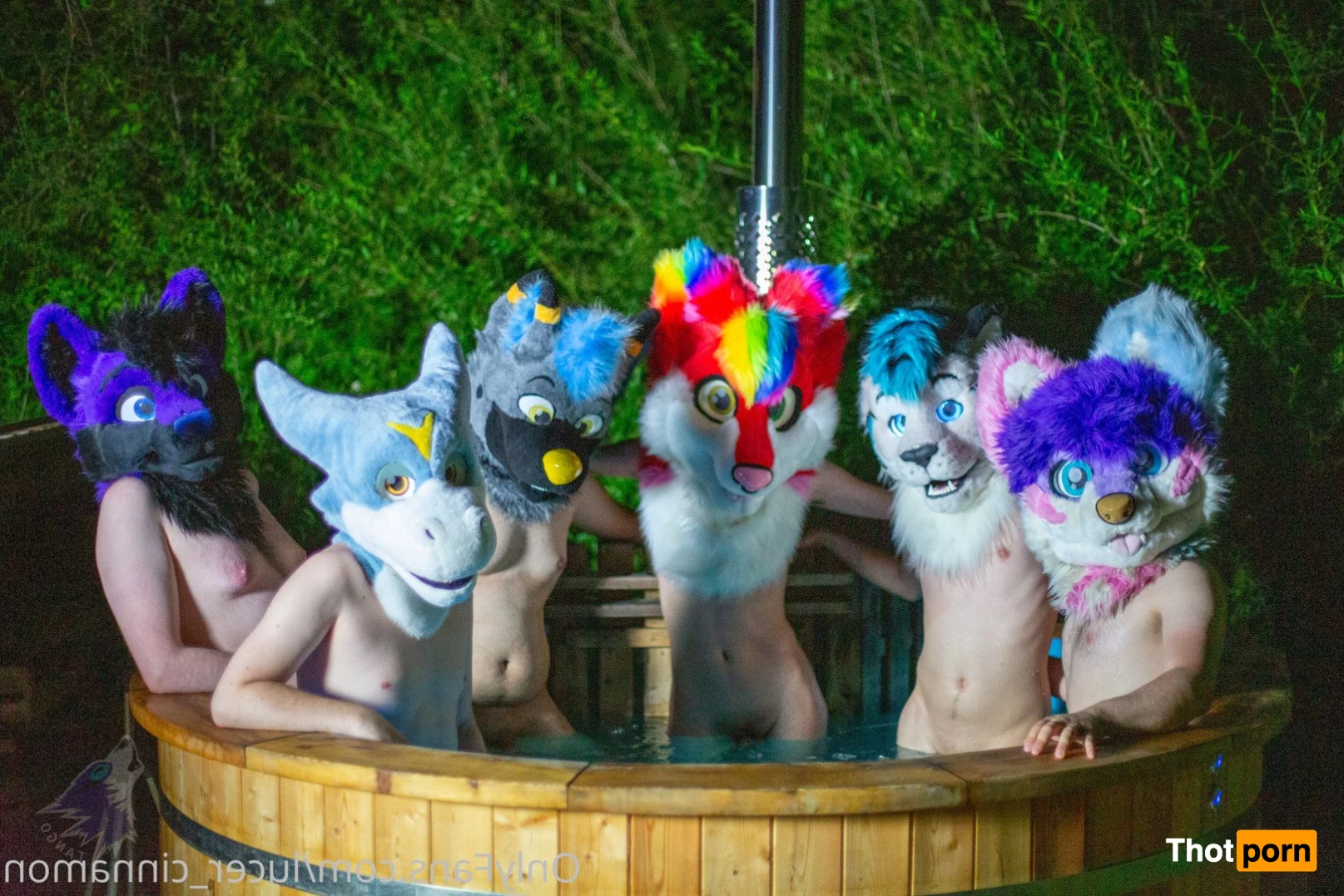 lucer_cinnamon 5386640