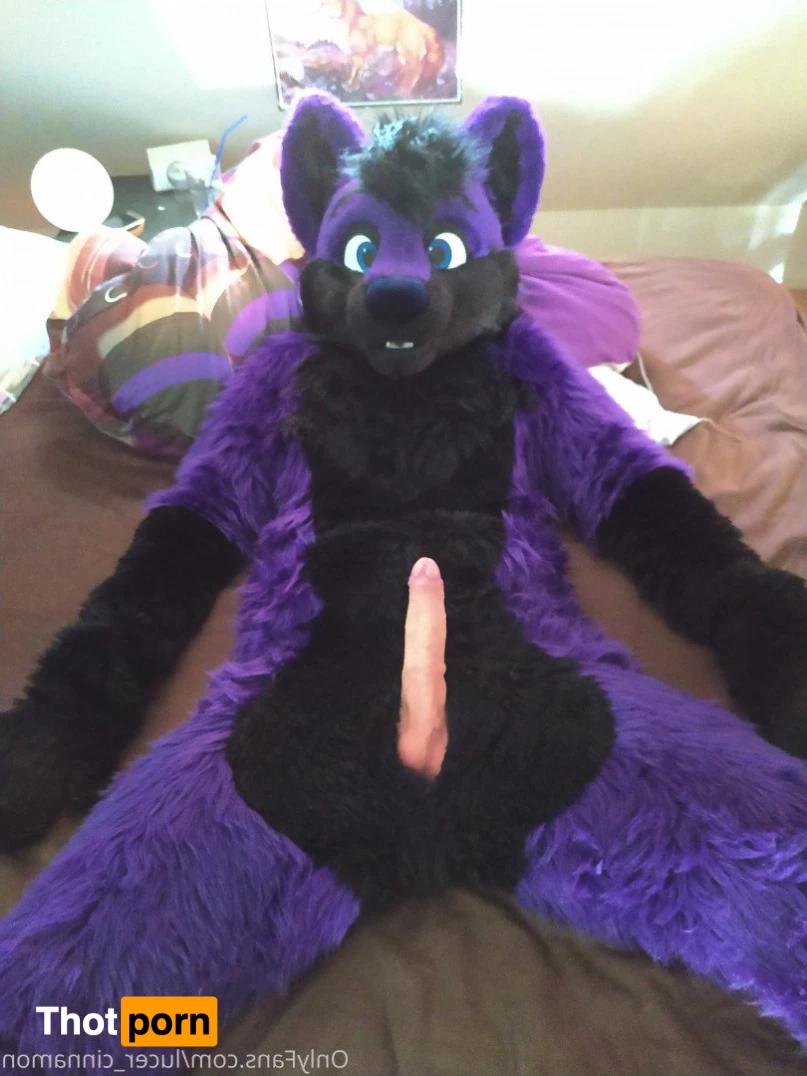 lucer_cinnamon 5386666