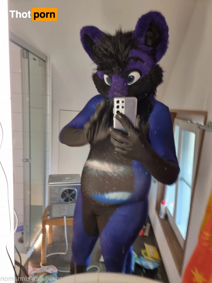 lucer_cinnamon 5386696