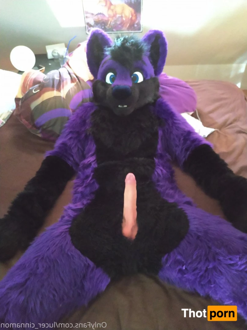 lucer_cinnamon 5386731