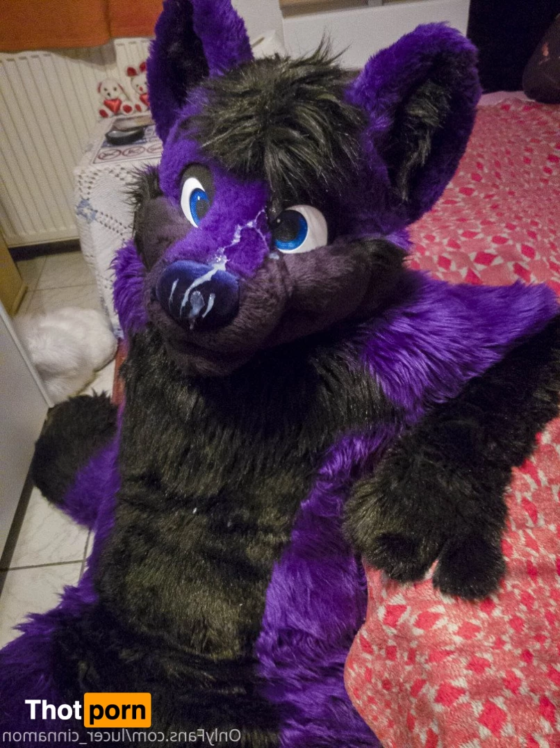 lucer_cinnamon 5386743