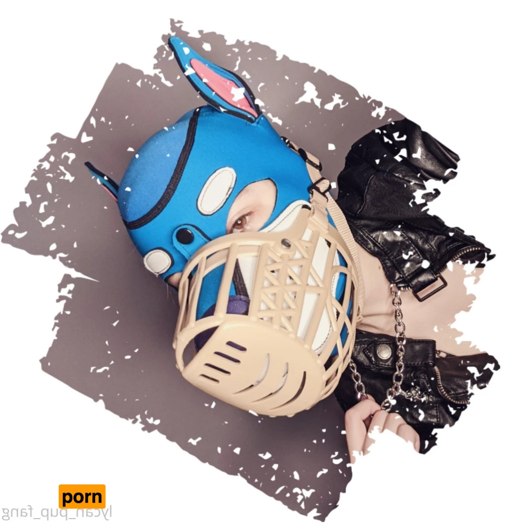 Pup's Kinky Den 9073933