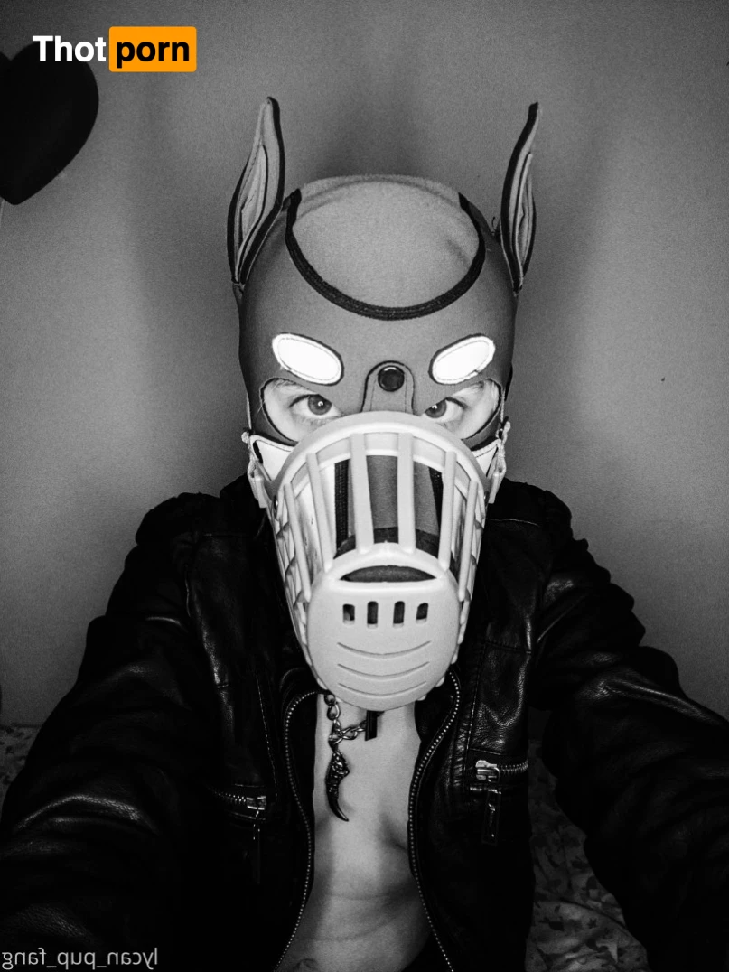 Pup's Kinky Den 9074004