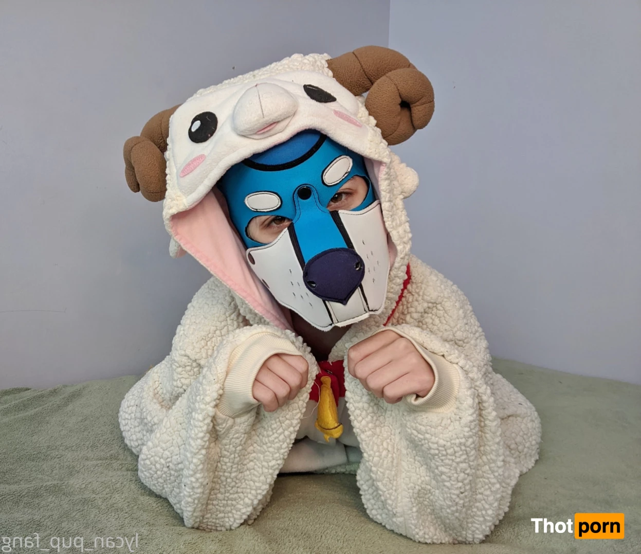 Pup's Kinky Den 9074065