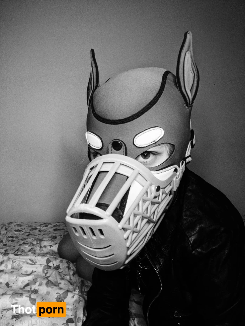 Pup's Kinky Den 9074076