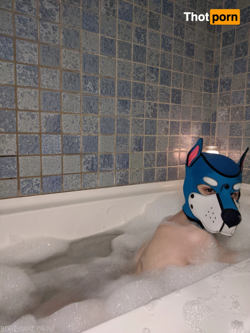 Pup's Kinky Den 9074095