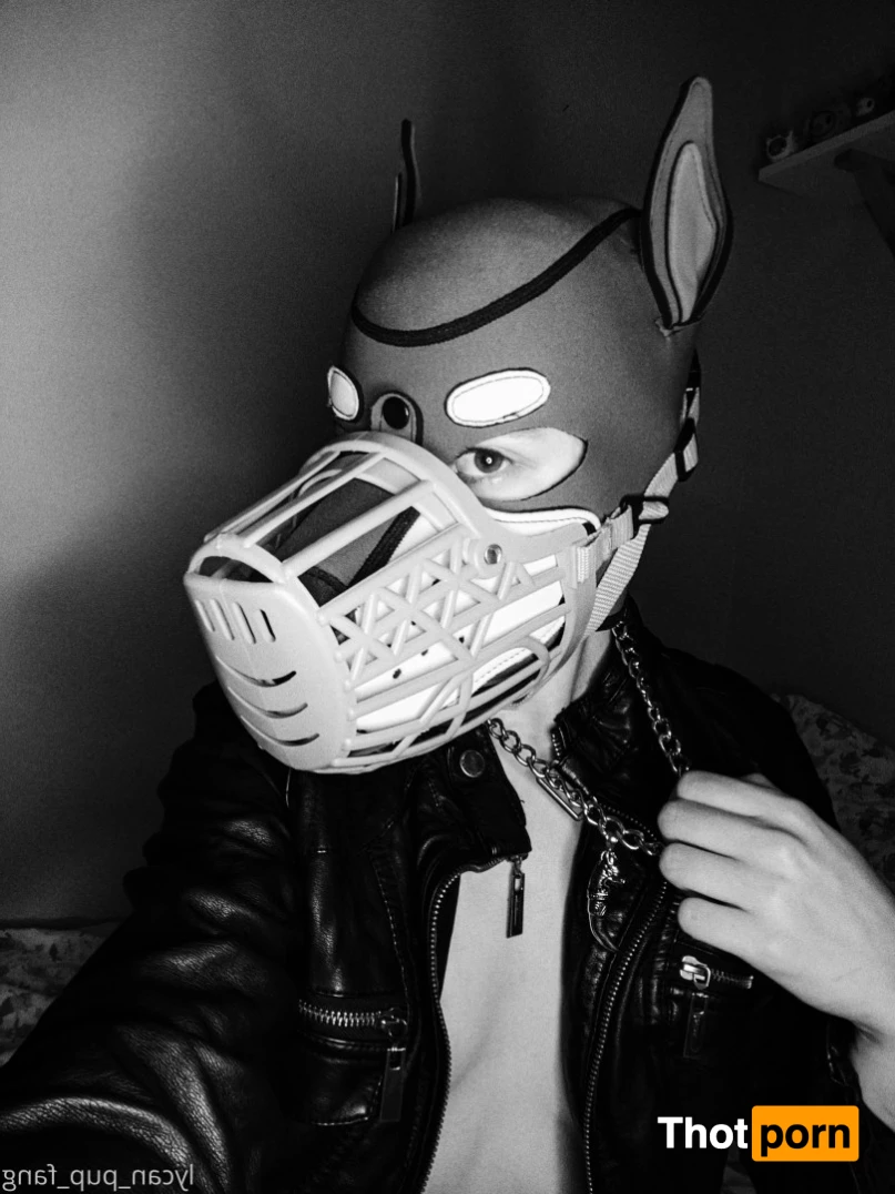 Pup's Kinky Den 9074115