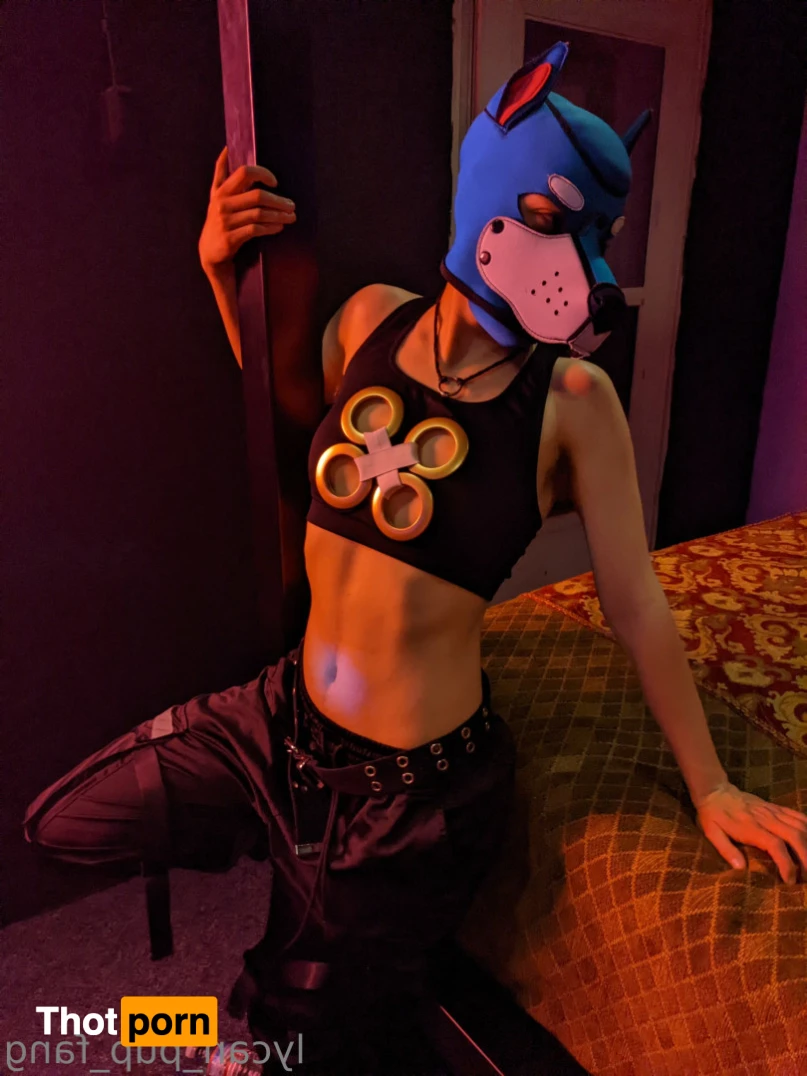 Pup's Kinky Den 9074165