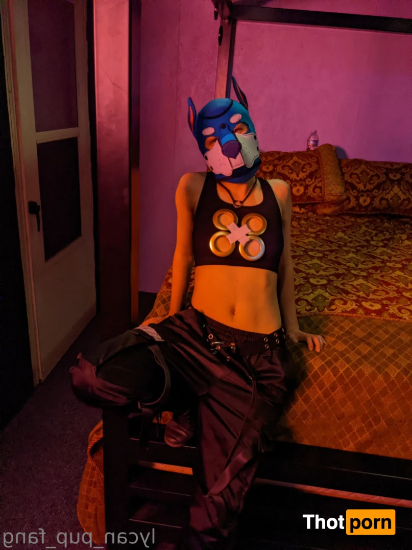 Pup's Kinky Den 9074211