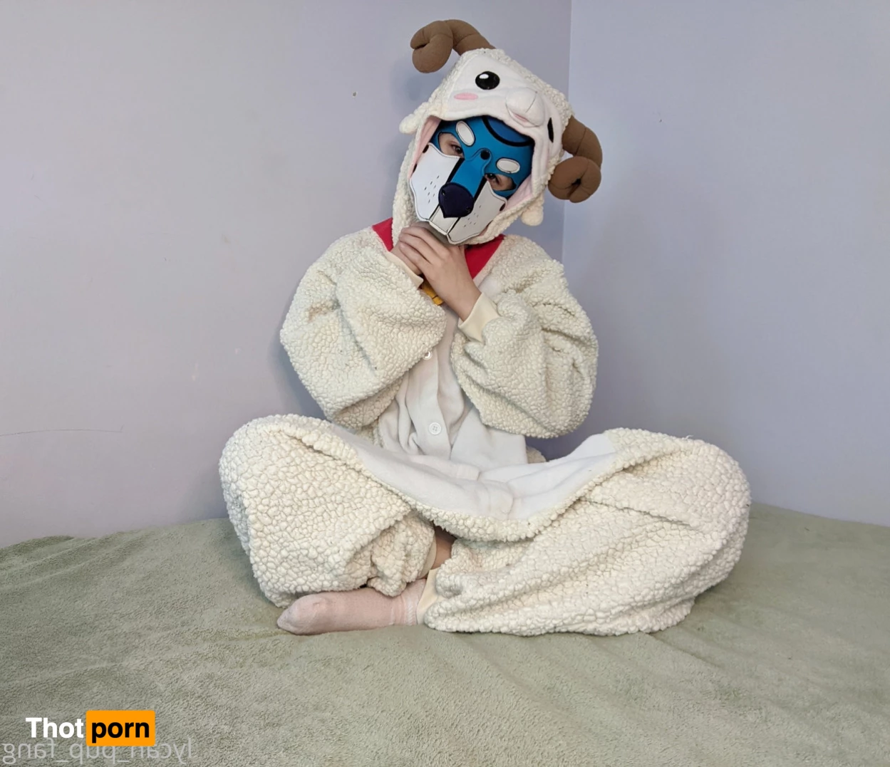 Pup's Kinky Den 9074221