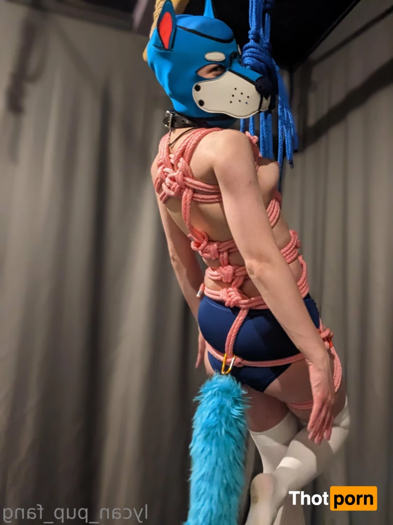 Pup's Kinky Den 10707679