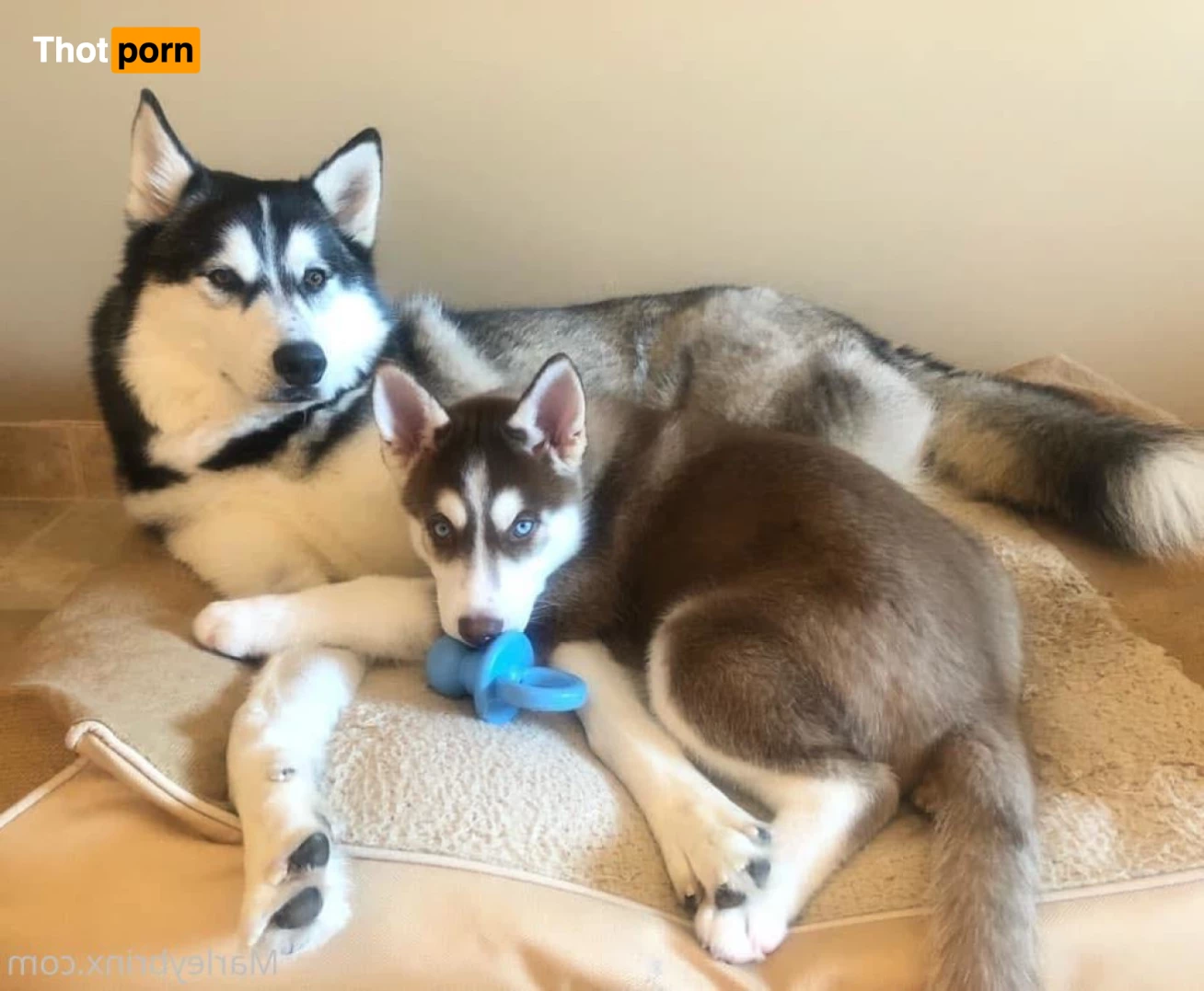 Marley Brinx 5520100