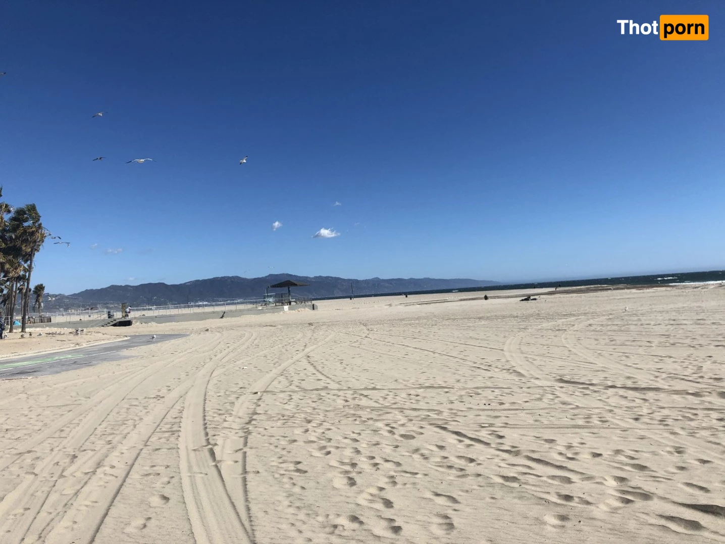 YOUR BBW GF MCJIGGLEZZZ 🍑 5434108