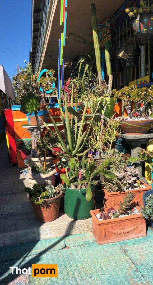 YOUR BBW GF MCJIGGLEZZZ 🍑 5434291