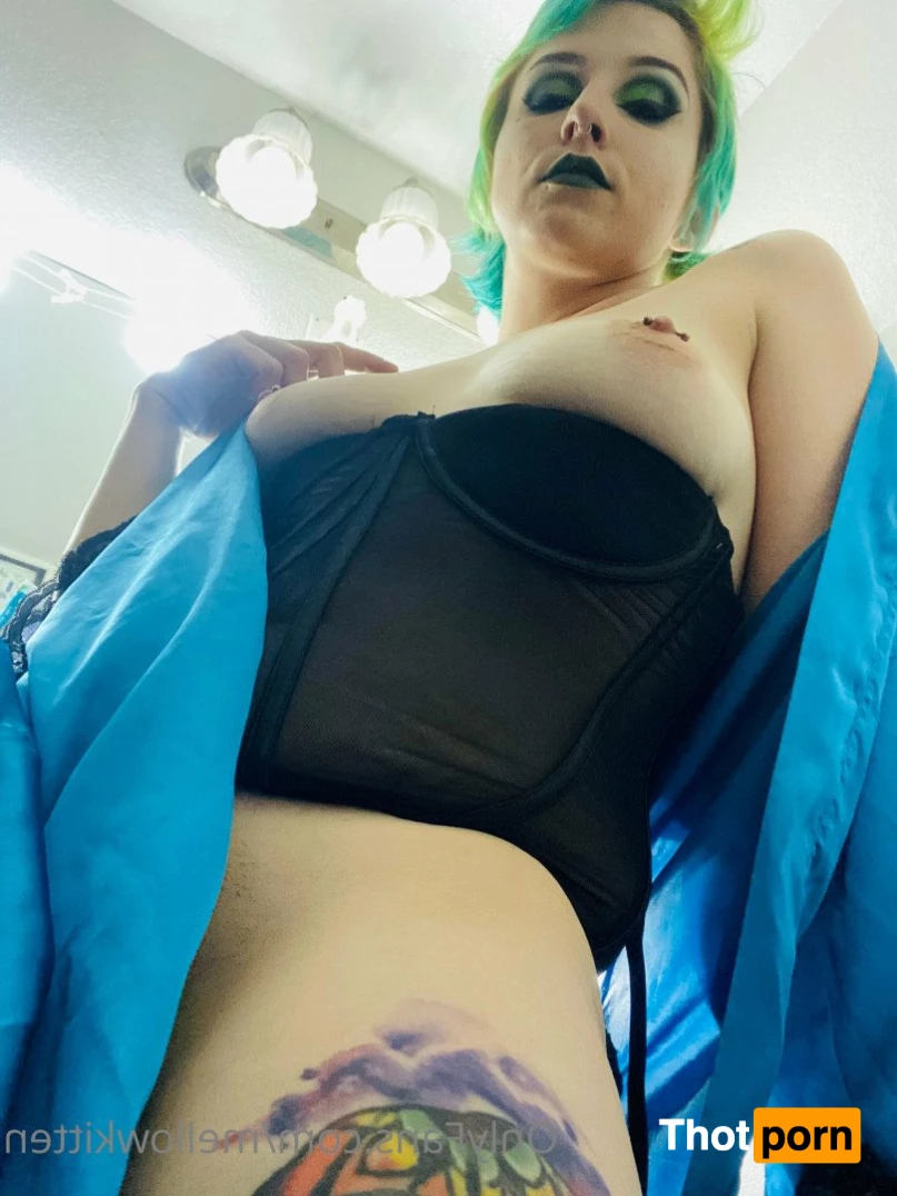 mellow_x_cat 5491547