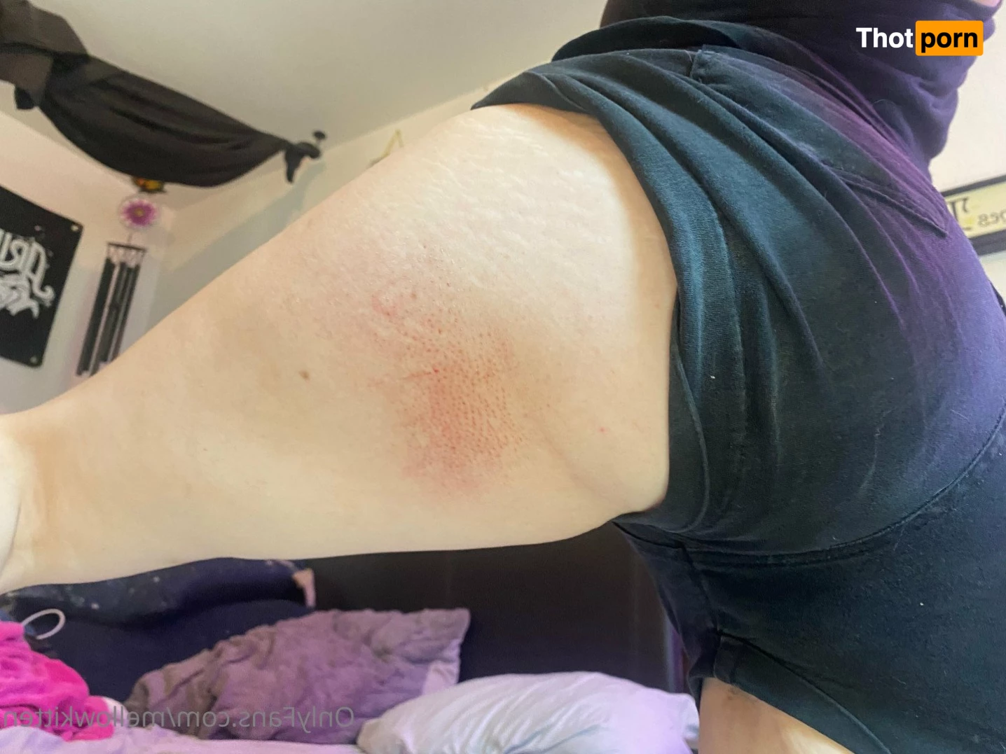 mellow_x_cat 5491776