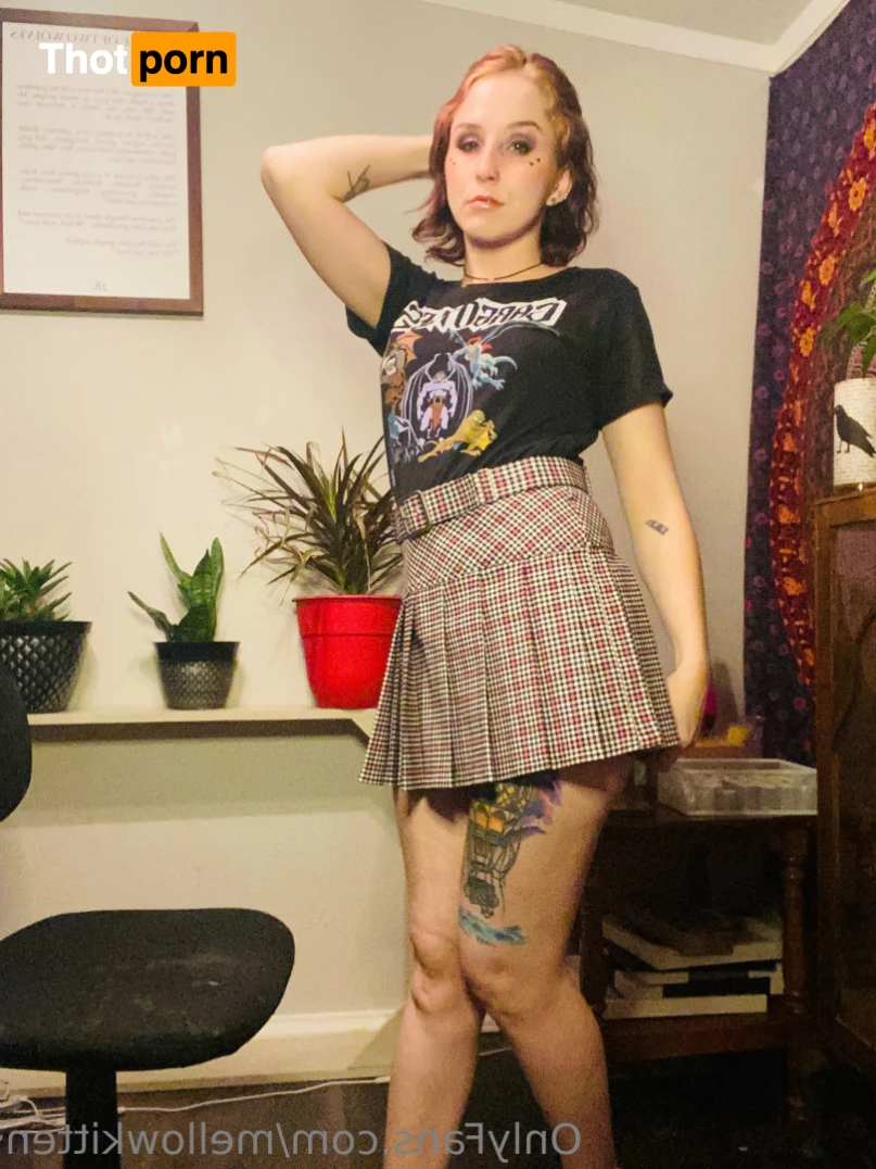 mellow_x_cat 10812125