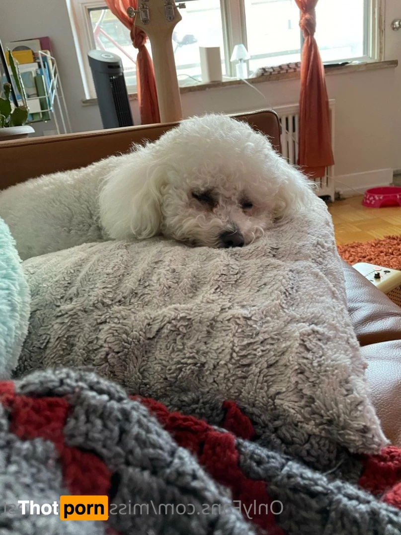 Aoife 💙 "Ee-Fah" 5398710