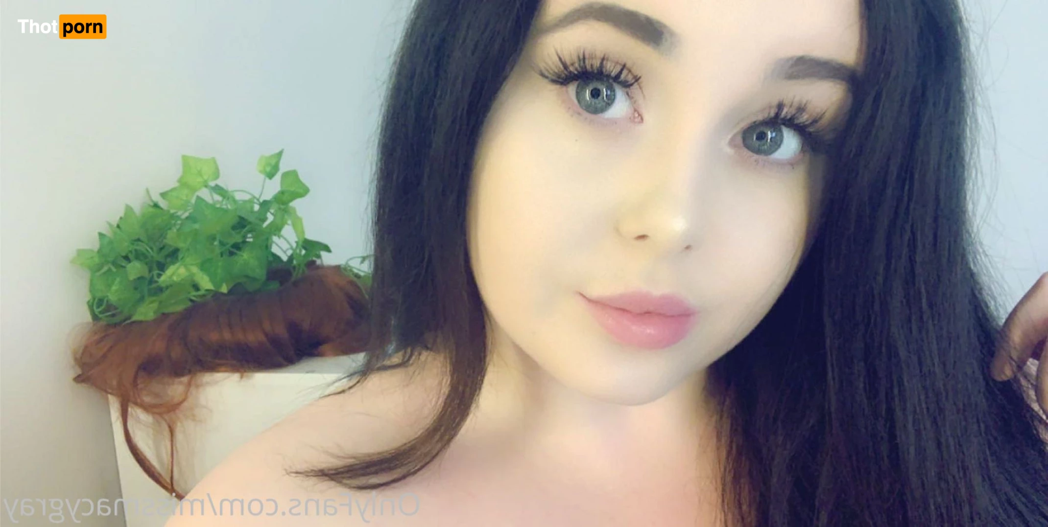 ✨🦋 Macy’s Clip store 🦋✨ 7859704