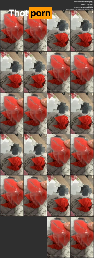 MOLLY😻😏 5538452