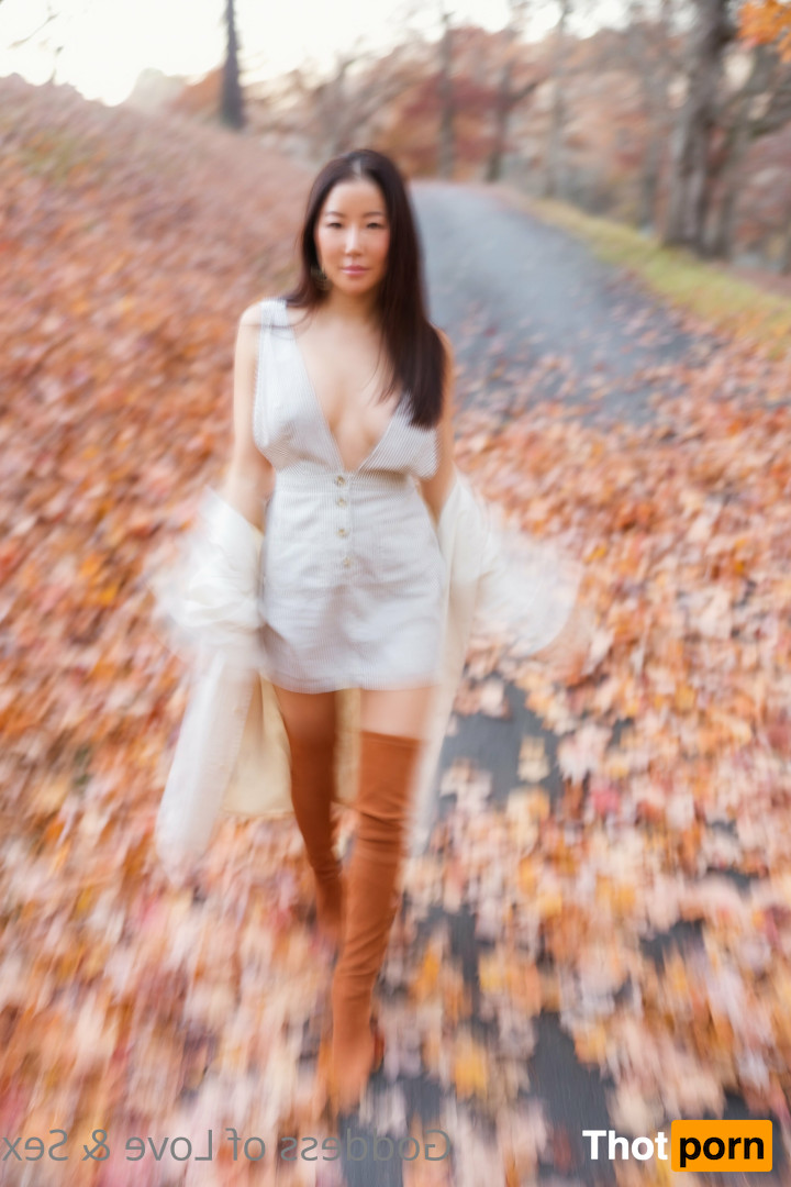 Moon Maison 16553923