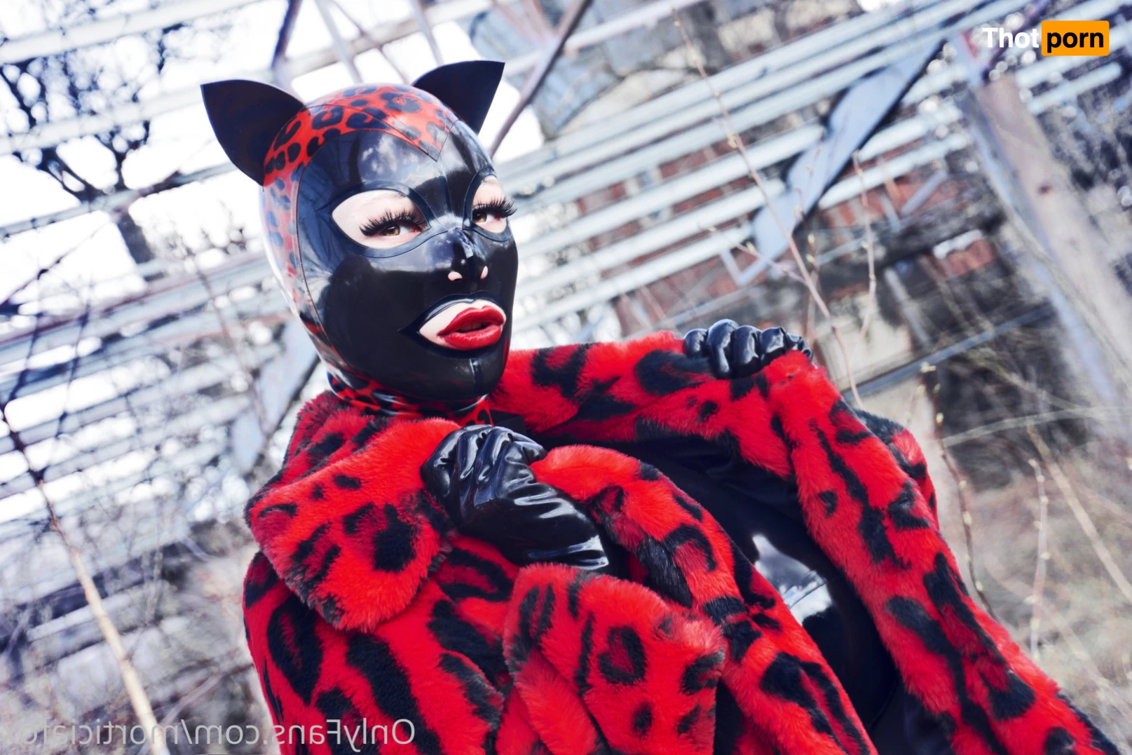 Morticia Fox 9306638