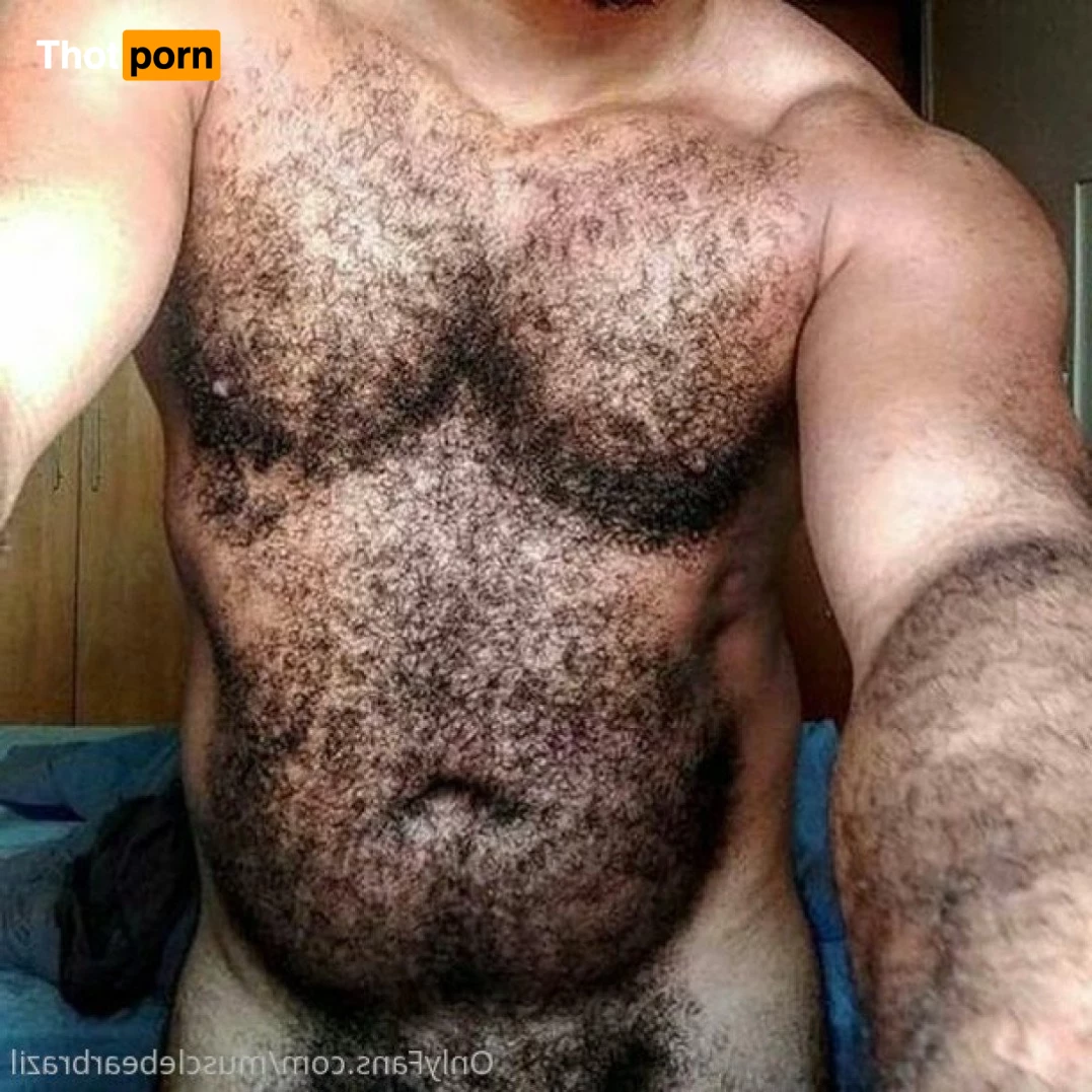 Musclebearbrazil 5377971