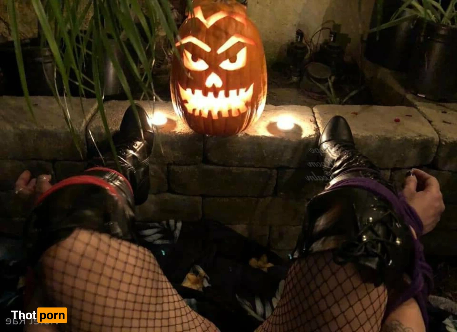 Scarlett Bordeaux 5530920