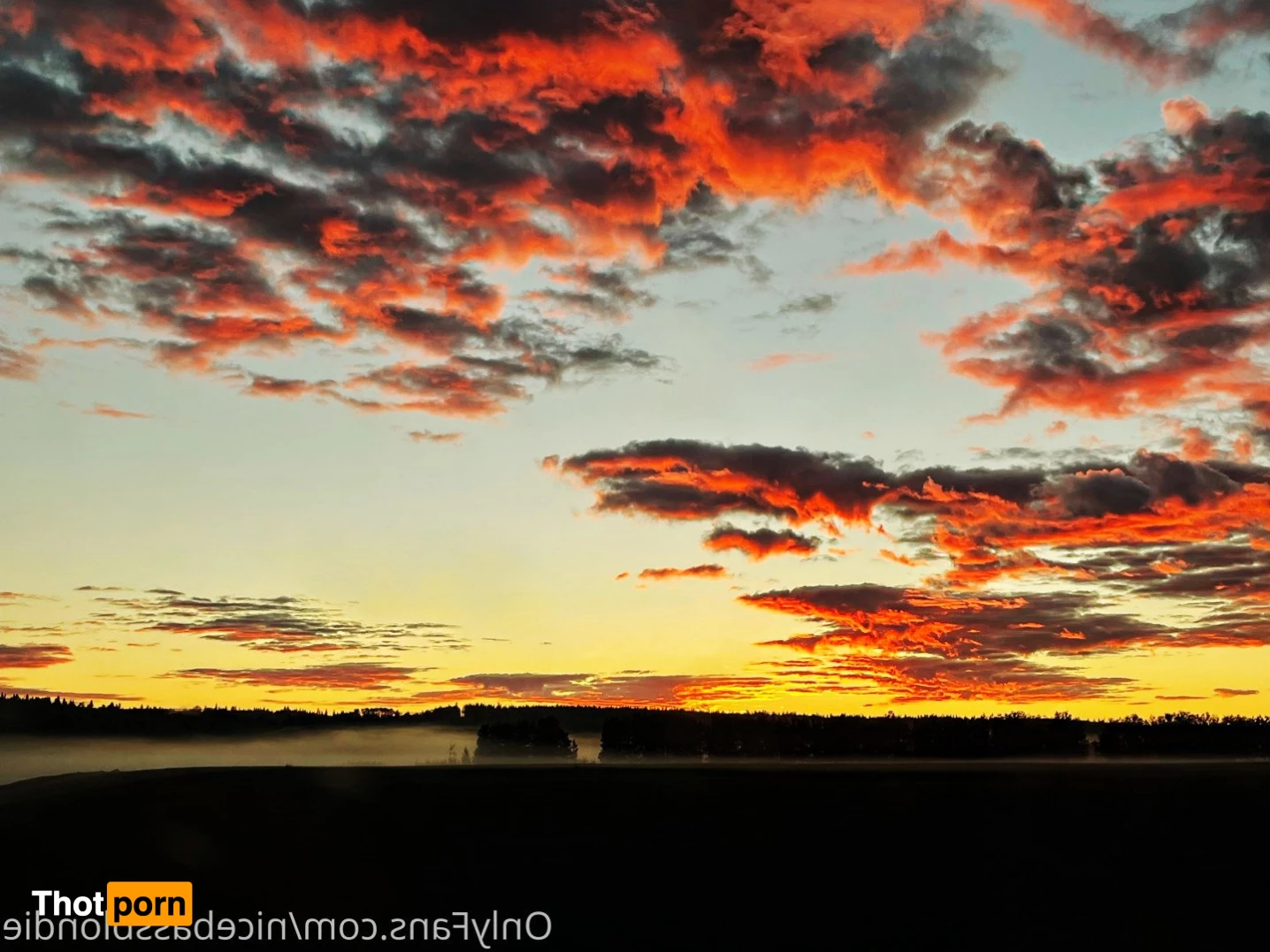 🏹 Tishh 🦌 5319373