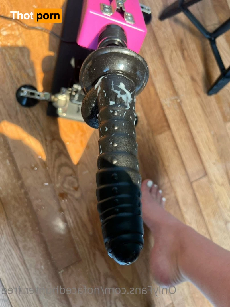 Aspen Hunter •FREE• 5405755