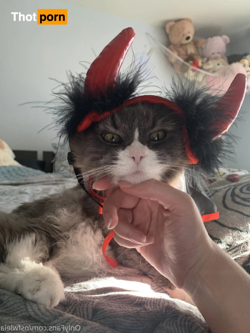 Princess Leia 5524419