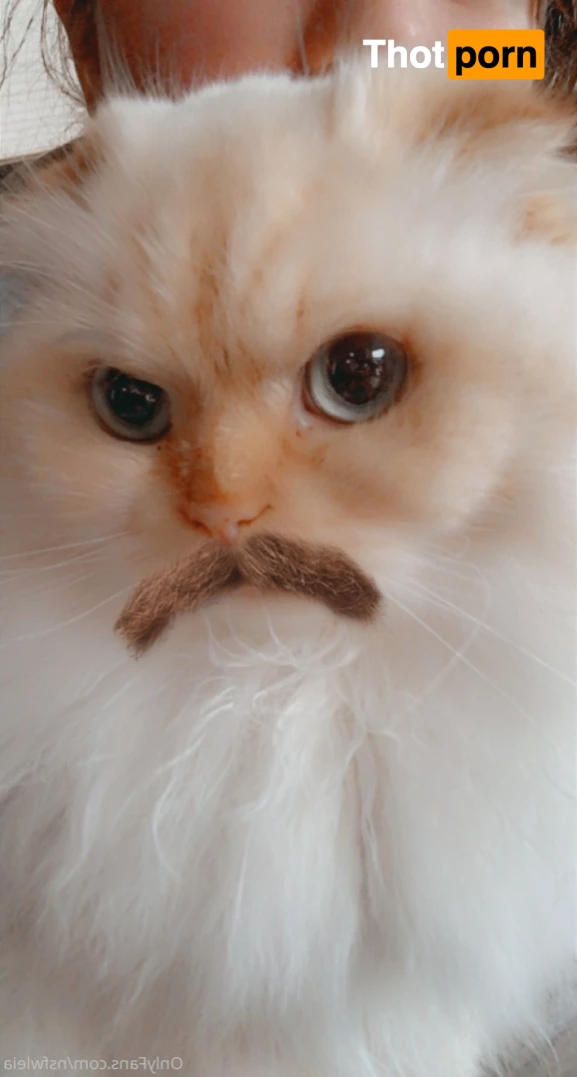 Princess Leia 5524464