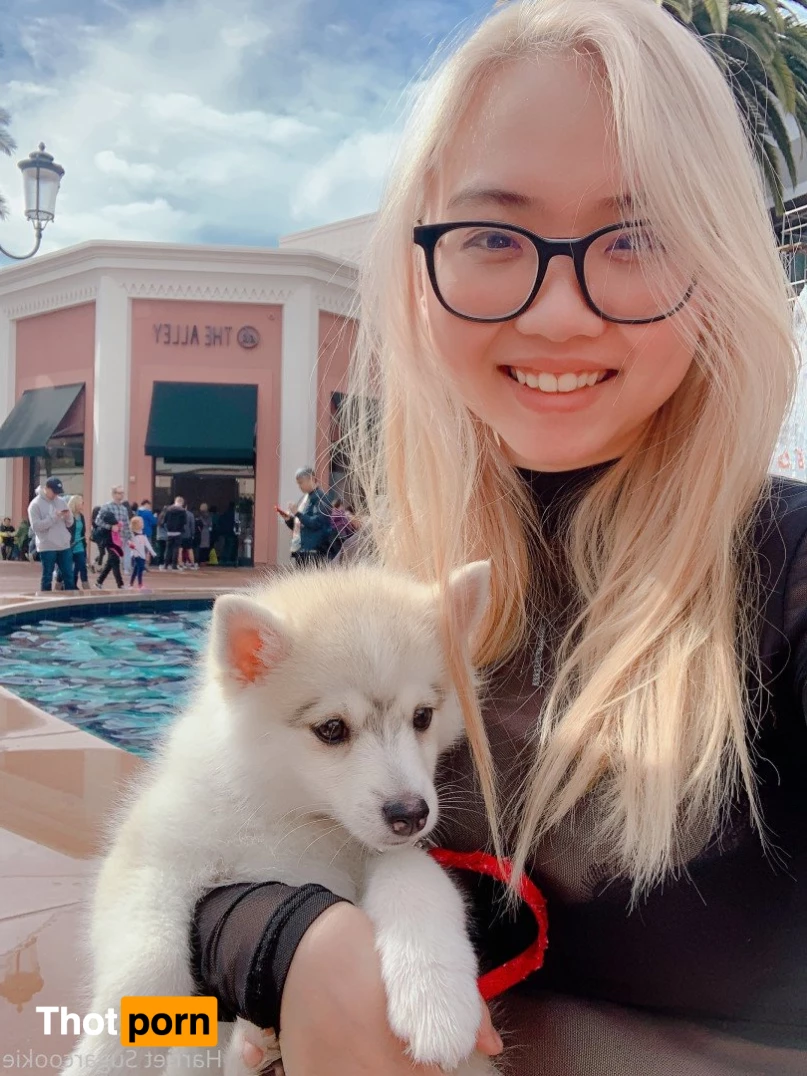 Harriet Sugarcookie 473659