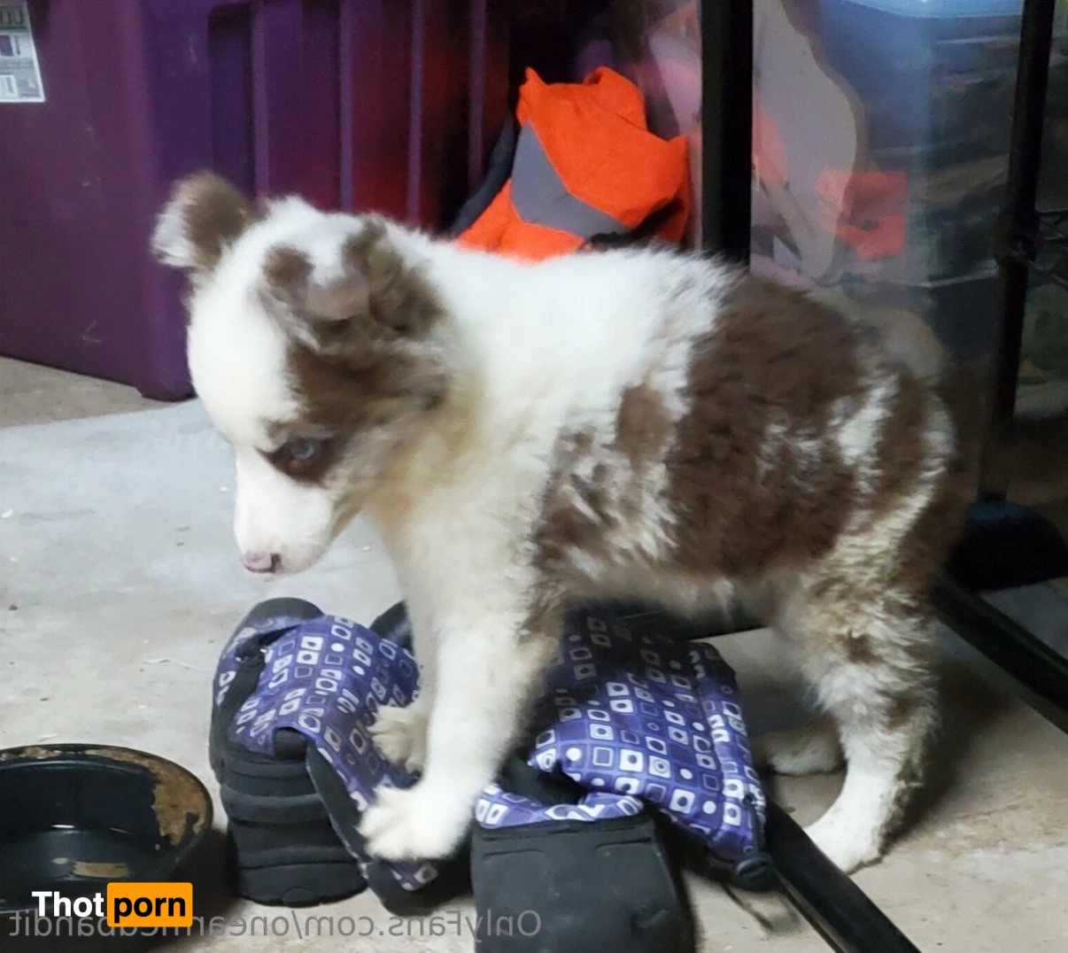 One-Armed Bandit 5284130