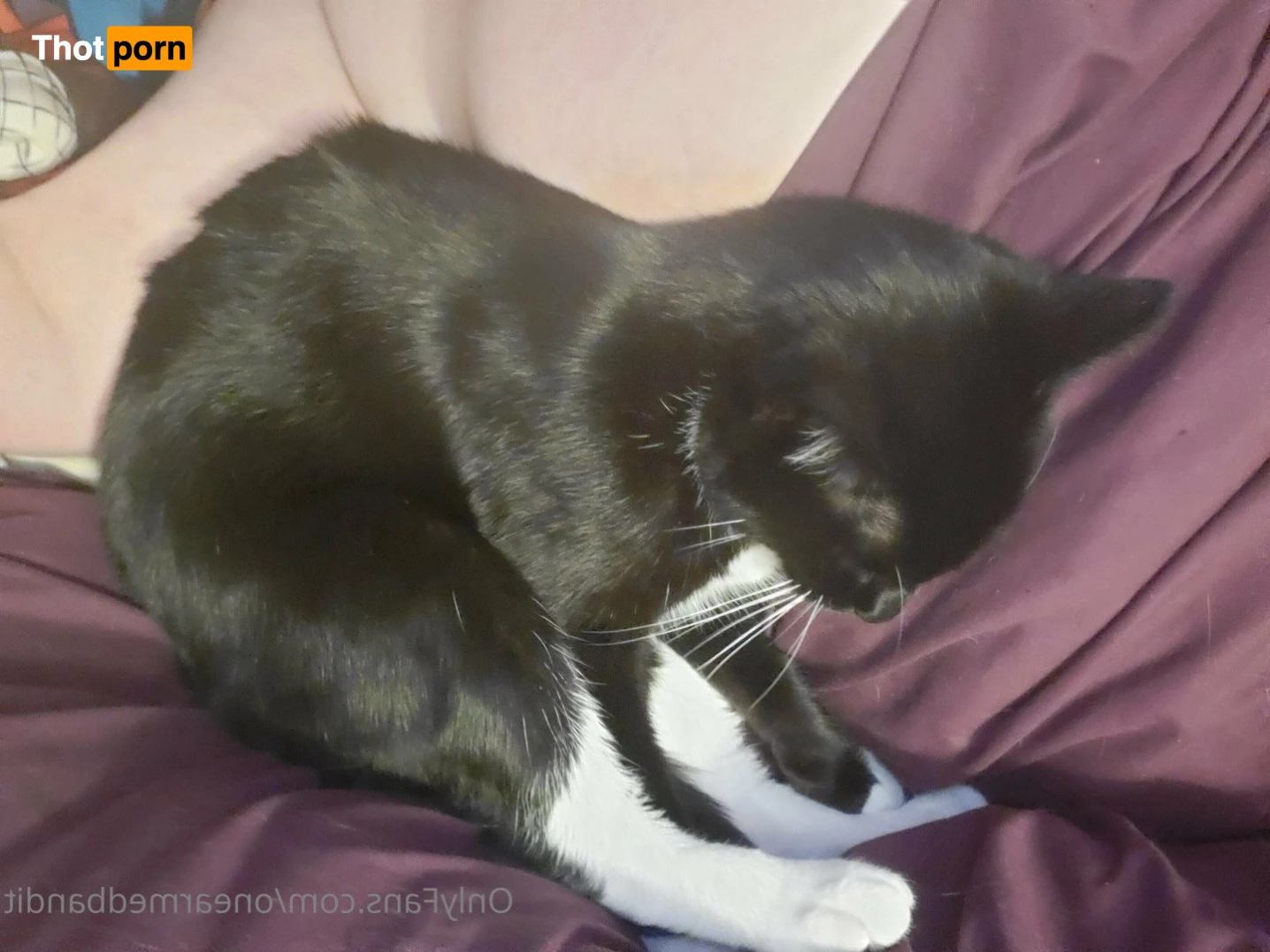 One-Armed Bandit 5284139