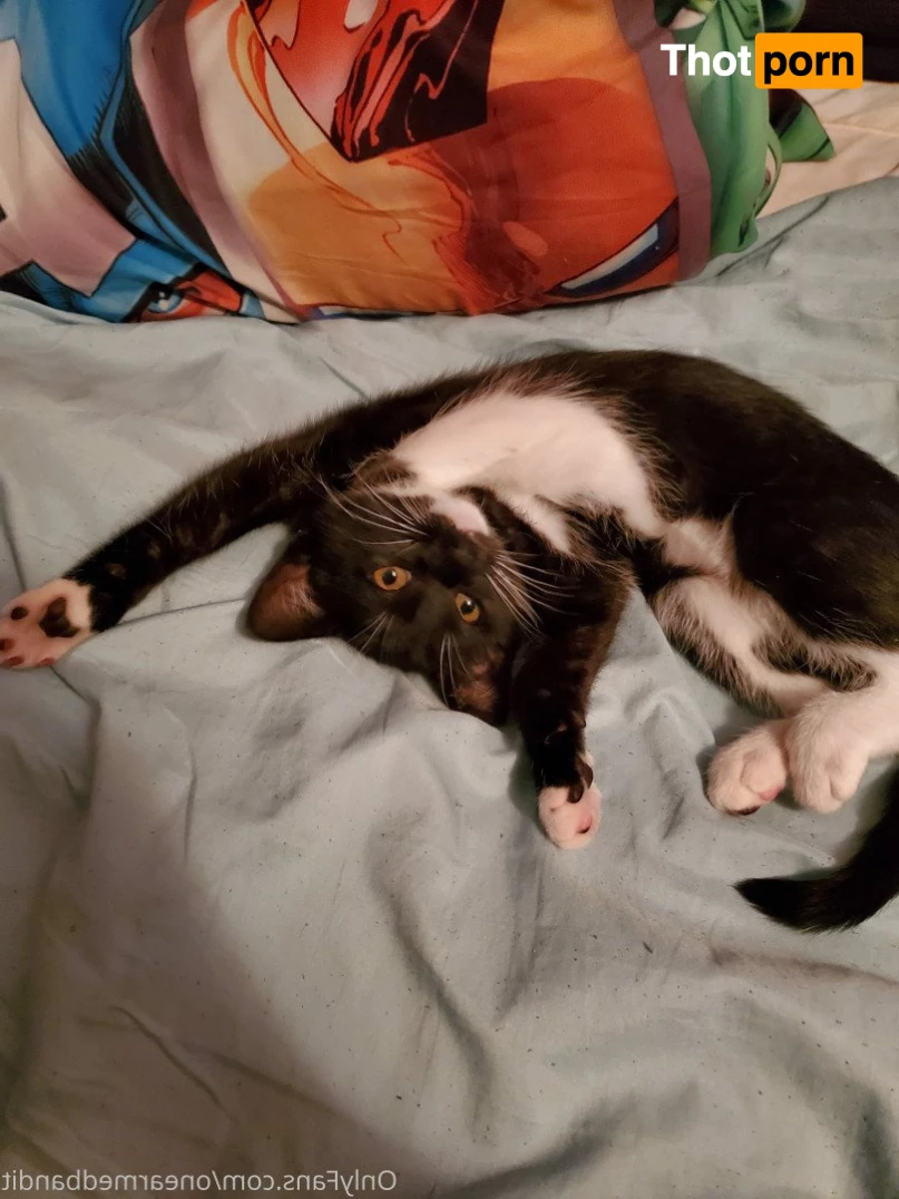 One-Armed Bandit 5284162