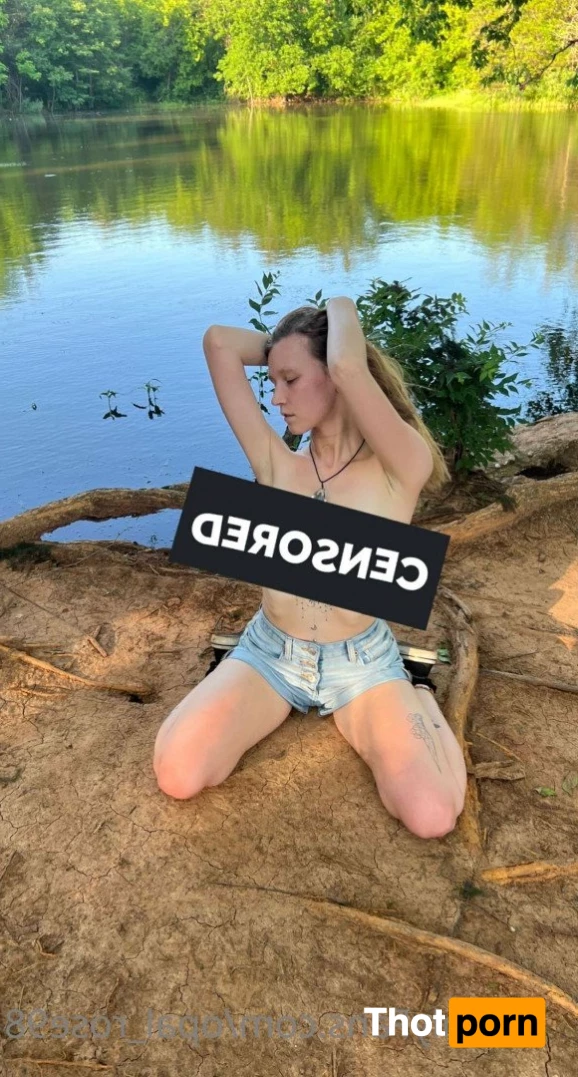 The Fabulous Opal Rose 5355791