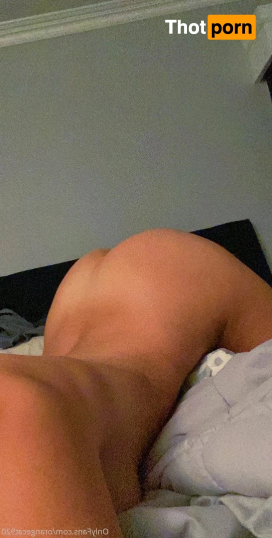 orangecat920 5262200