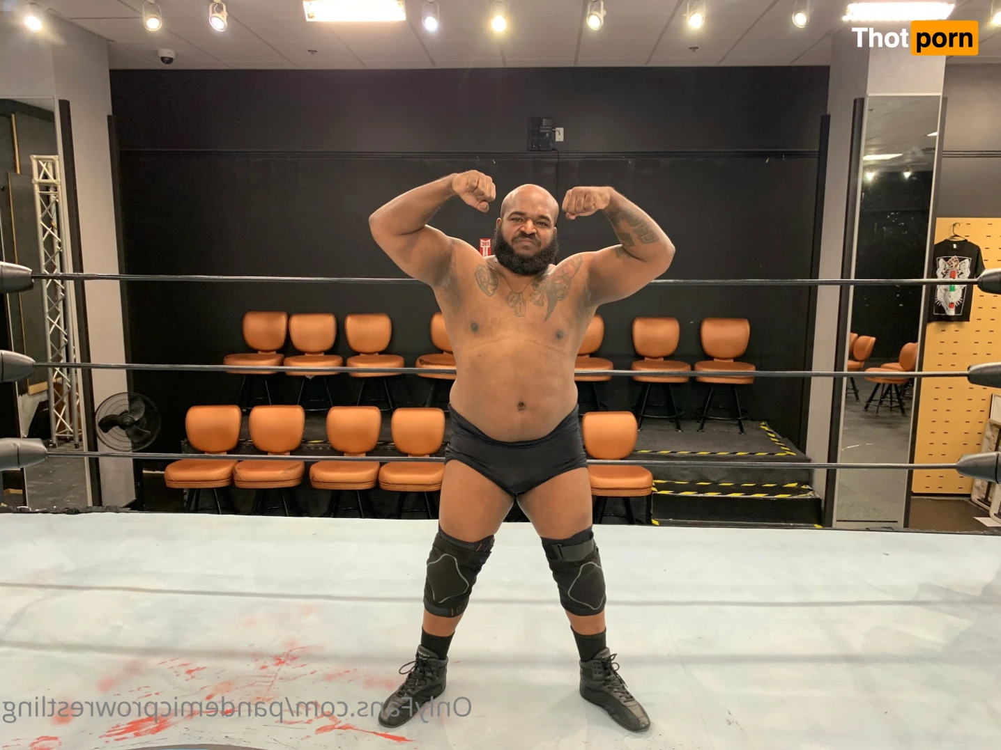 Pandemic Pro Wrestling 15847535