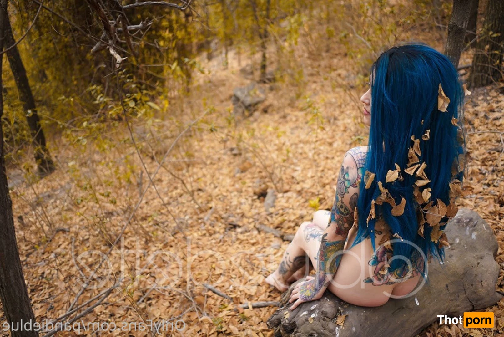 Bluedette Free 5192229