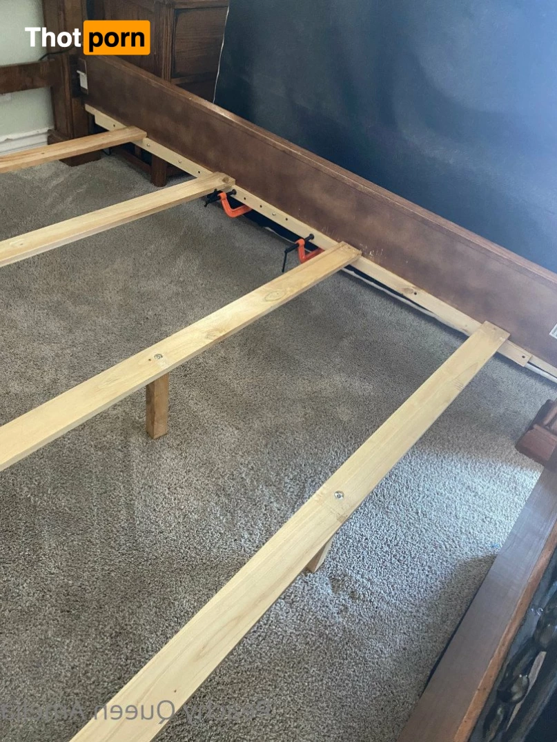 Peachy 👑 Amelia 5183615