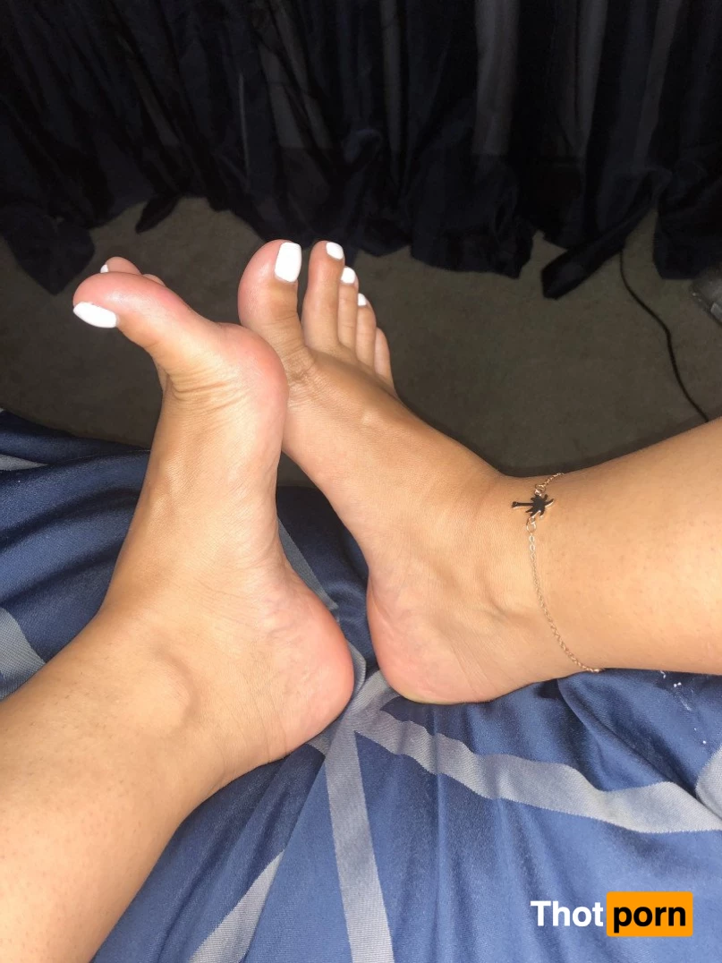 Persias Paradise 5276804