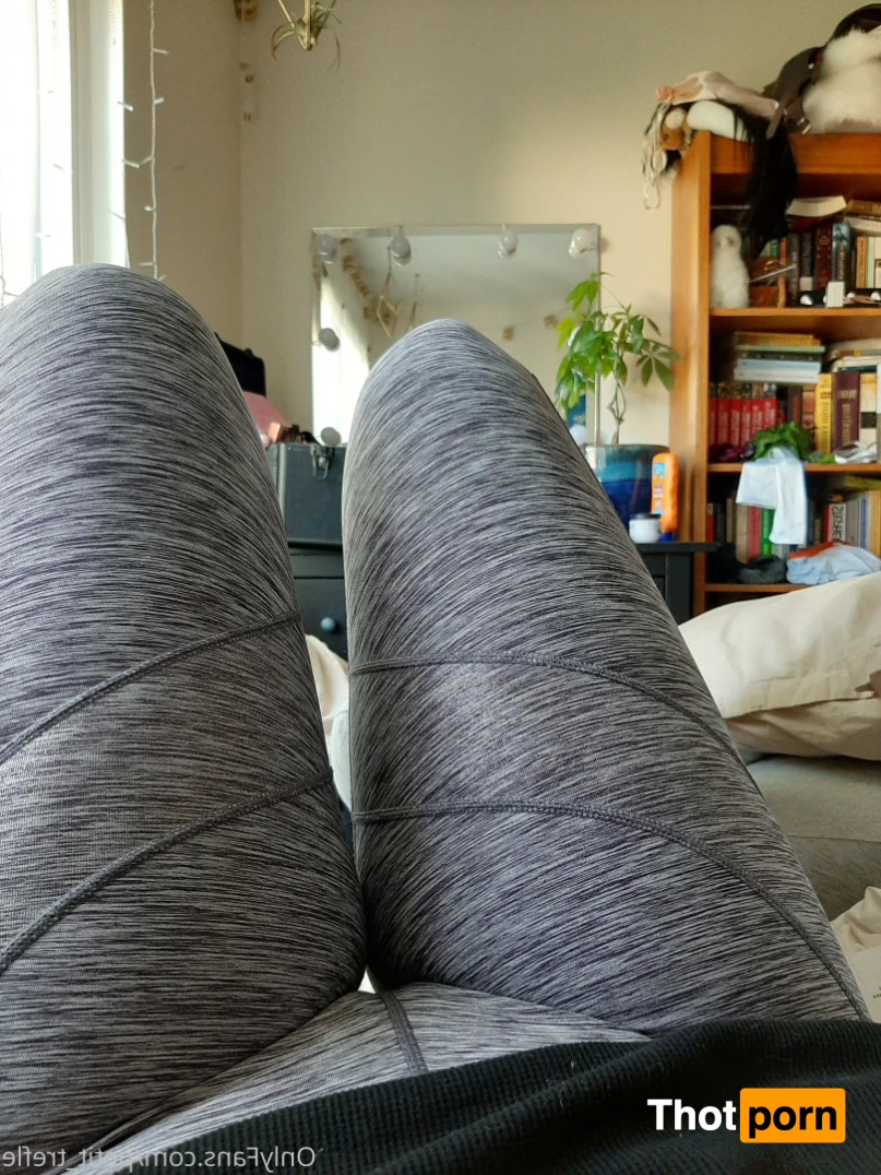 Little Clover 10716937