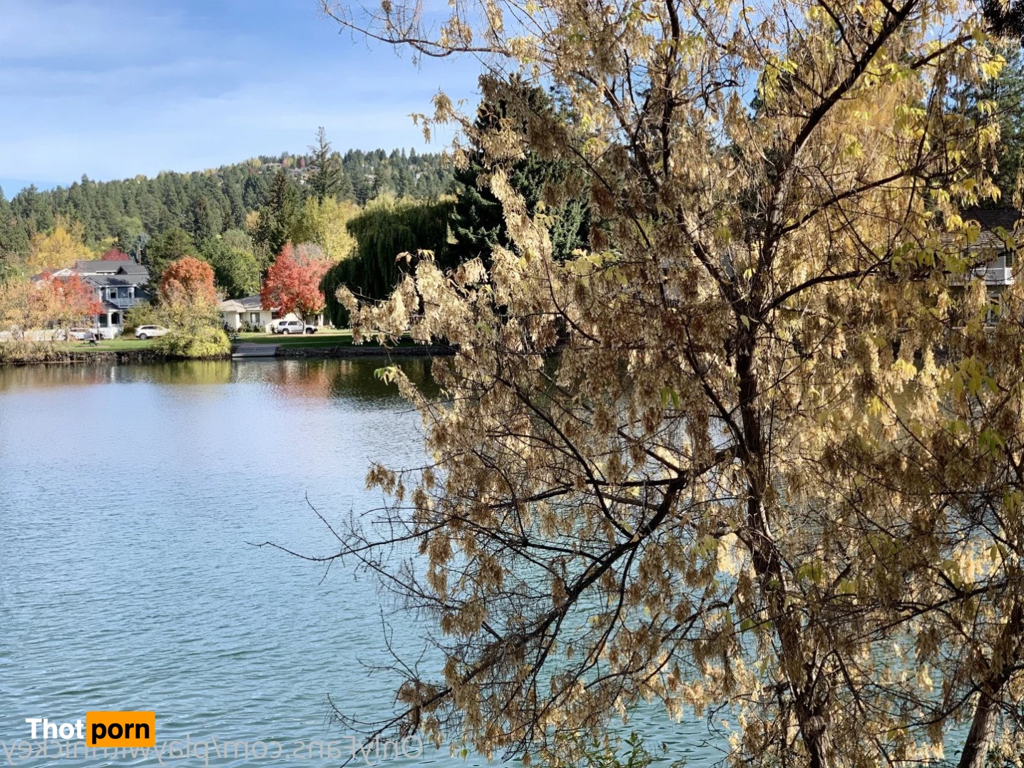 Nickey Huntsman 5268677