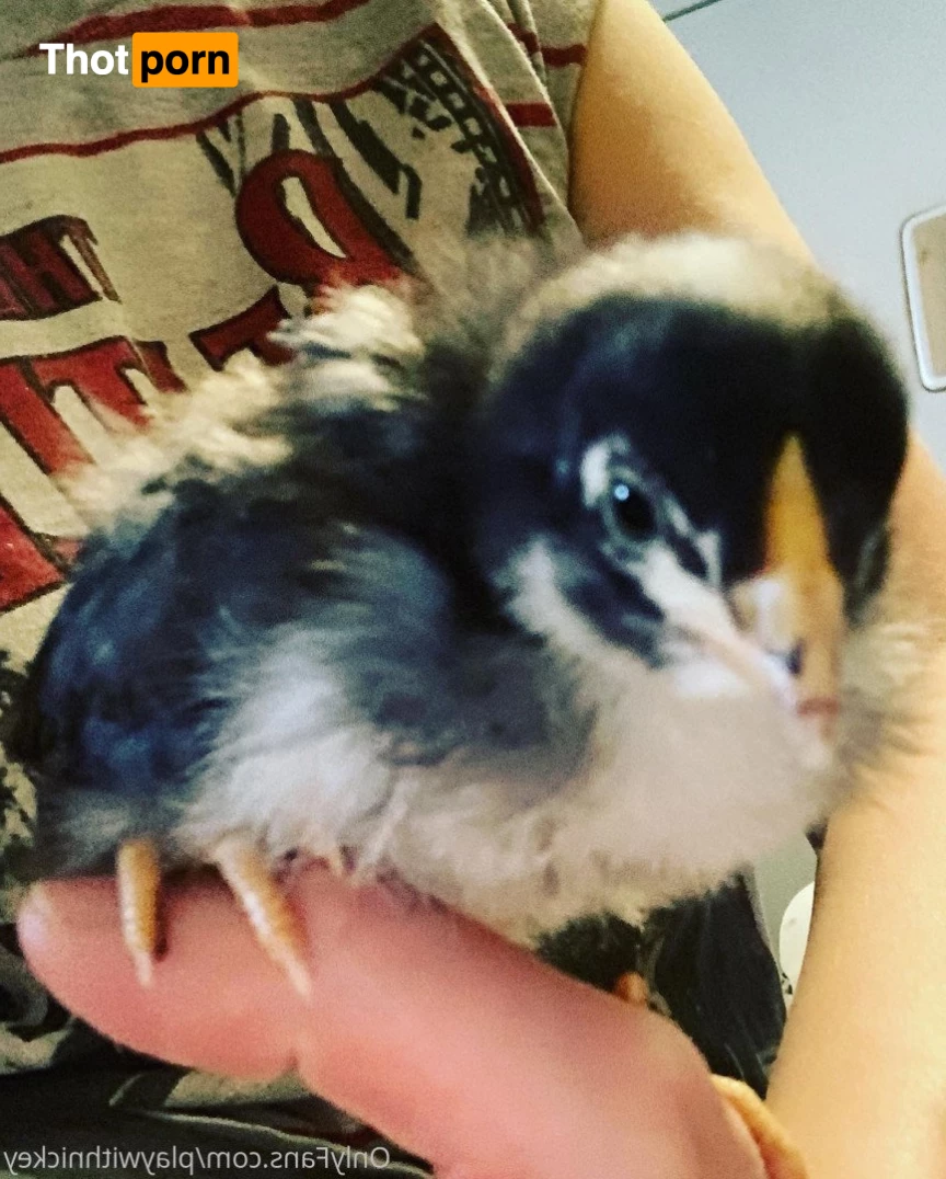 Nickey Huntsman 5268829