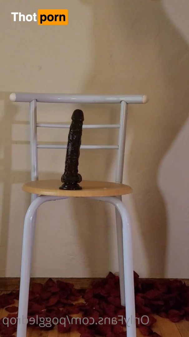 PoggleDrop Free 10703834