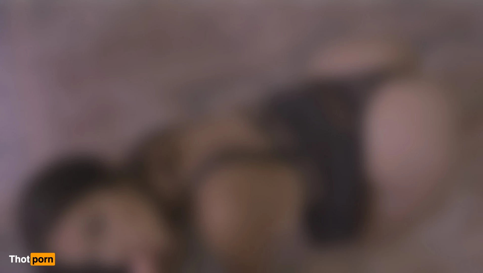 puffin PPV 💕 5315419