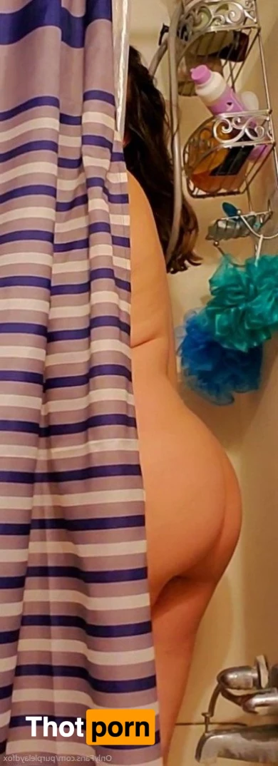 💜Purple Fox💜 5046005