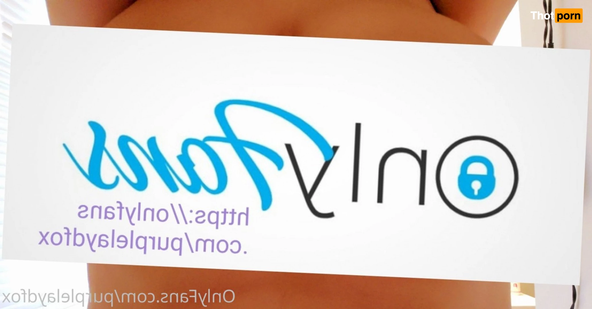 💜Purple Fox💜 5046125